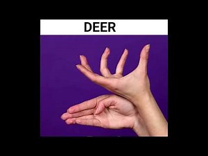 Hand Shadow Animals Ideas