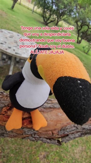 El diablo al menos no anda por ahí pidiendo validación. El diablo tiene criterio propio, agenda clara, y no pierde el tiempo convenciendo a nadie de nada. El diablo sabe lo que quiere y va por eso sin disculparse cada tres pasos. Aprendí hace tiempo que la carita no te obliga a nada. Que podés tener plumas de colores y pico simpático y aun así tener muy claro que esta vida es tuya y las decisiones sobre cómo vivirla no están sujetas a votación popular.