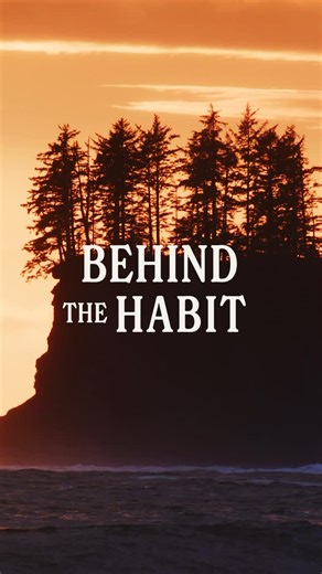 Mathea Olin on Instagram: "“Behind The Habit” Ep 3 is now live! A short piece with some back story on some trips we did while @sanoa_olin @petedevries and I were filming for “Creatures Of Habit” with @natelav Always love chasing swells with this crew and getting to surf new places! @ripcurl @ripcurl_women @ripcurl_canada @livetosurf_tofino @pacificsands @cuswunion @cuswbcunion"