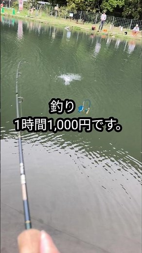 釣り、1時間1,000円です。手ぶらでOK｜愛知の管理釣り場 #Shorts #管理釣り場 #手ぶらで釣り #愛知おでかけ #リバーベース塩瀬