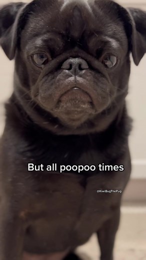 Fun Peepee Poopoo Meme Compilation