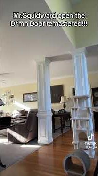 Mr squidward open the damn door (remastered)