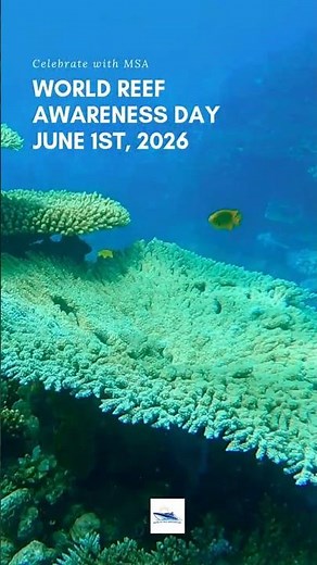 World Reef Awareness Day 🪸 | Amazing Coral Reef Facts You Need to Know 🌊