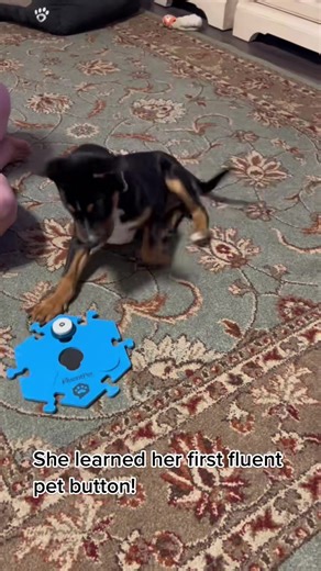 Effective Body Language for Early Learning Stages