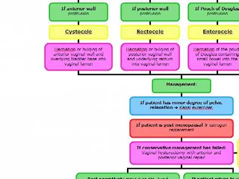 Vaginal and Uterine Prolapse