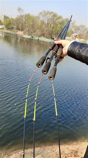 Cần Câu Máy ĐỨNG IKADA 1,61m Cho Cá Dìa 4-6kg? #3 #fishing #shortvideo