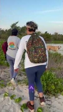 En memoria del Manchas perro tortuguero del Puerto de Telchac en Yucatán