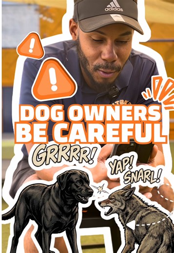 Predators like coyotes are usually looking for the easiest opportunity — and unfortunately that often means smaller dogs or cats. In most situations, coyotes aren’t trying to fight a full-sized dog; they’re looking for a quick, low-risk meal. That’s one reason many people feel safer with larger guardian-type breeds that have the size, confidence, and presence to deter wildlife. No matter the breed, responsible ownership is what keeps dogs safe. At Whitaker Dog Training, we focus on building reli