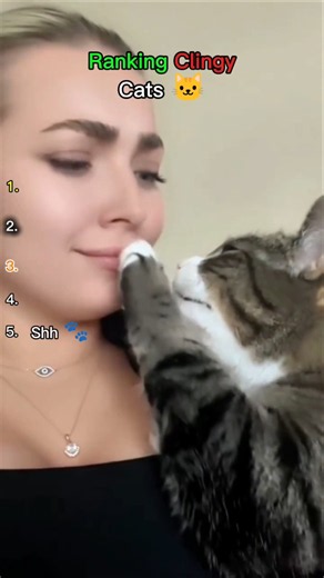 Ranking Clingy Cats (PT2)🐱❤ #cats #funny #viral