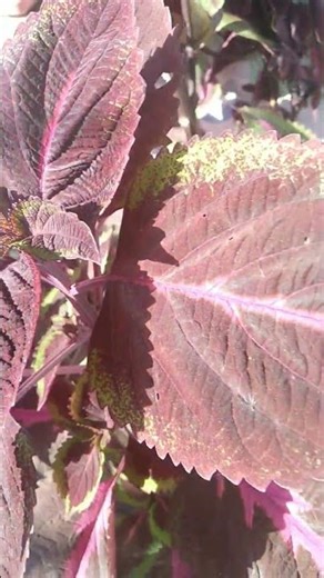 motivational lines....