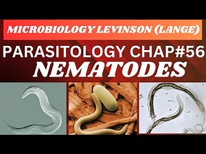 Nematodes (Round worms) Parasitology |Microbiology| complete lecture#micro#mbbs #lecture #nematodes
