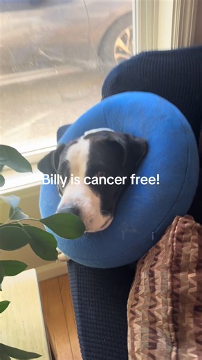 Pop the champagne! It’s celebration time! | congratulations billy