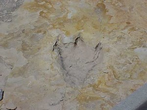 Clayton Lake State Park - Alchetron, the free social encyclopedia