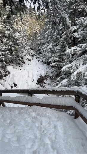 POV: You bundle up for the first real snow day and remember just how lucky we are to have Victoria Park the Railyard right in our own backyard ❄️🌲 | Victoria Park