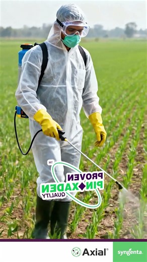 ਪੱਤੇ 'ਤੇ ਹੀ ਕਰੋ ਵਾਰ – ਗੁੱਲੀ ਡੰਡਾ ਦੀ ਹੋਵੇਗੀ ਹਾਰ! | Axial Punjabi