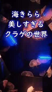 【癒やし】海きららのクラゲが幻想的すぎる。九十九島パールシーリゾートの水族館 #shorts #水族館 #クラゲ