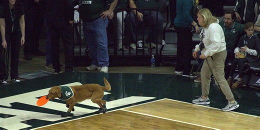 Zeke the Wonder Dog dies; Foley family says successor coming soon