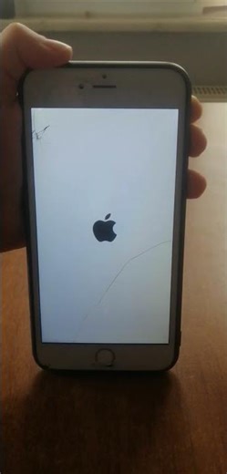 İPhone 6S Plus Startup