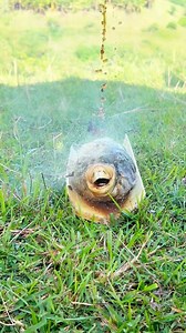 Transformation 🫢 #mangjosevlog | Mang Jose Vlog