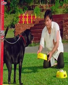 1998 Arshad Warsi Movie : Hero Hindustani Hero Hindustani (1998) Full Hindi Movie | Arshad Warsi | Namrata Shirodkar | Paresh Rawal | 90s Movie #Bollywood #NamrataShirodkar #ArshadWarsi #Comedy #OldMovies #BollywoodMovies | Ultra Haste Raho