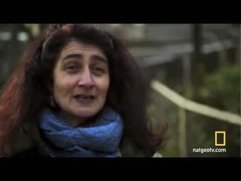Woman Raised By Monkeys Nat Geo documentary. The Monkey Sanctuary