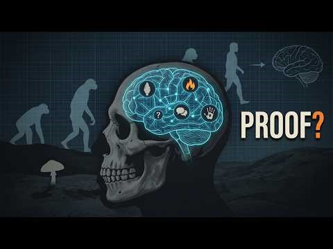 Did Mushrooms Help Create Human Consciousness? The Evidence