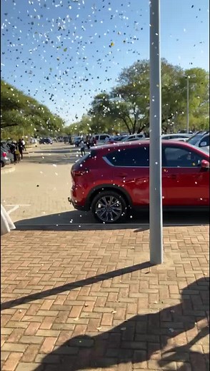 TTACTSO MAFIKENG CAMPUS 💙🤍🌈 (@ttactso_nwu_mahikeng)’s videos with original sound - Zintle_indlela_zengonyama