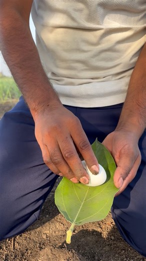 ✅SURVIVAL skills egg Bool 🔥#skills #camping #survivalskills