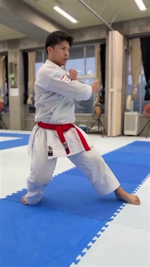 🥋 Ken Okmt Sensei | Sochin Kata Practice 🔥 | Shotokan Karate #Shorts