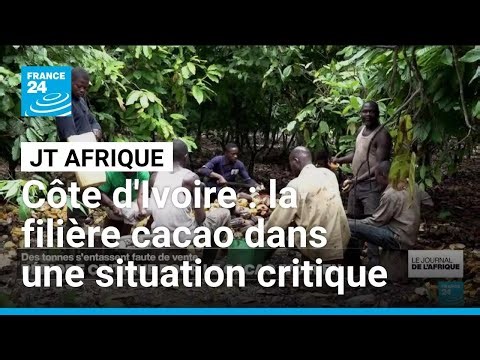 La crise du cacao en Côte d’Ivoire, premier grand défi économique du président Ouattara