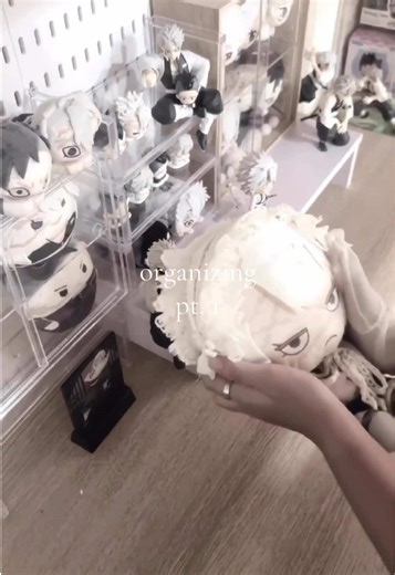 Effective Collection Organizing Tips Part 1