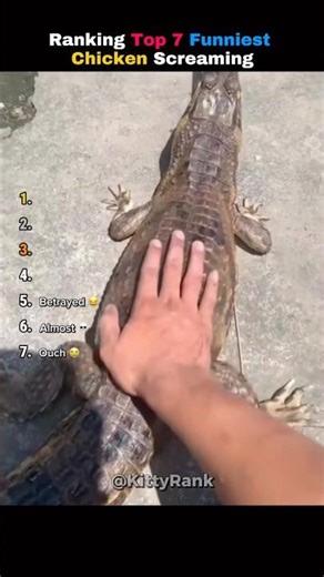 Ranking Top 7 Funniest Chicken Screaming 💀