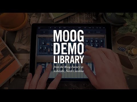 Model D iOS App | Gestures Explained