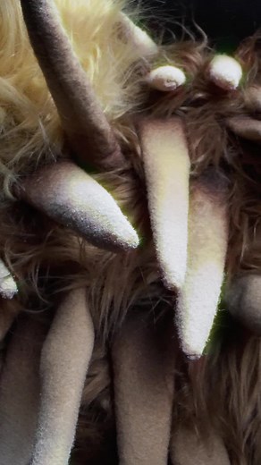 Season 8 Costume Hints Revealed on The Masked Singer