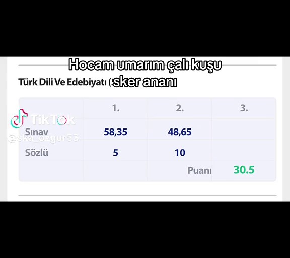 Edebiyat Sözlü Notu İstemek: Hocam İnşallah Çalıkuşu ile Not Nasıl İstenir?
