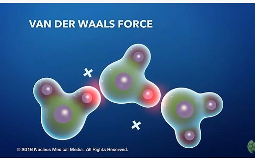 范德华力（伦敦力）的本质，绝对一看秒懂 London Dispersion Force from IMF（分子间作用力）