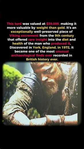 The $39,000 Viking Poop 💩 | Most Bizarre Archaeology Find Ever