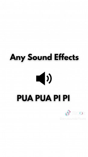 PUA PUA PI PI #anysoundeffects TikTok