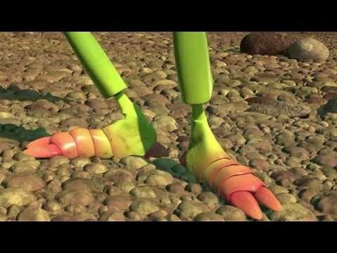 Suggested feet video: Bugs Life