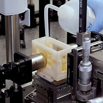 Video: Light-sheet Fluorescence Microscopy for the Study of the Murine Heart