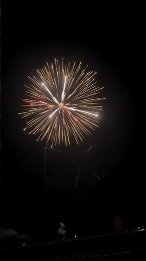 10" Brocade Kamuro w/Red, White & Blue Palm w/Silver Tail #10" 寸 锦冠带红白蓝椰