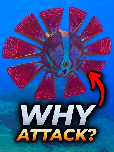 Why Hammerheads Are So Aggressive in Subnautica 2