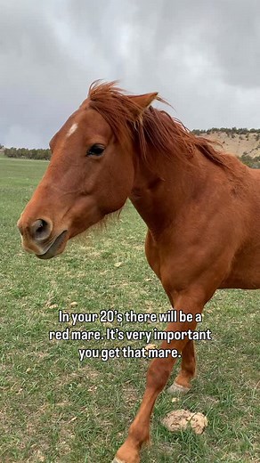 I owe her everything | Green, Gold and Blues