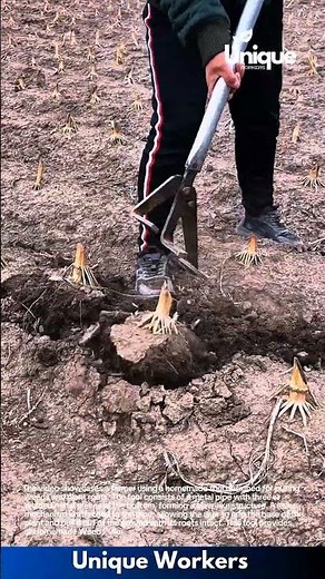 DIY Weed Puller: Ingenious Homemade Tool for Easy Root Removal