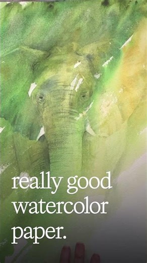 Embracing the Journey: Every Brushstroke is a Lesson #watercoloranimals #watercolortutorial #arttip