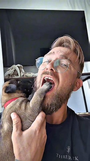 Malinois dog training tips for K9 handlers