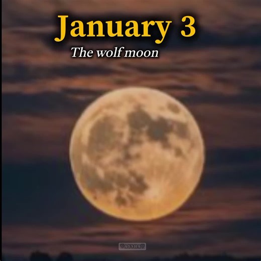 Explore the Magic of the Moon: A Visual Journey