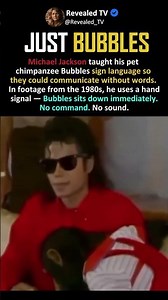 MJ TAUGHT A CHIMP SIGN LANGUAGE