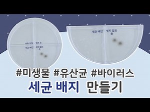 세균 배지 만들기