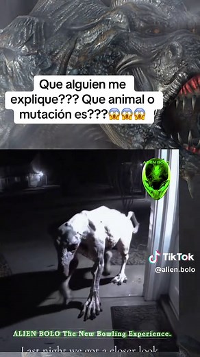 ALIEN BOLO on TikTok